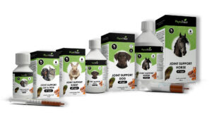 Phytotreat Joint Support Assortiment LR