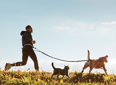 Beweegt je hond of kat minder soepel?